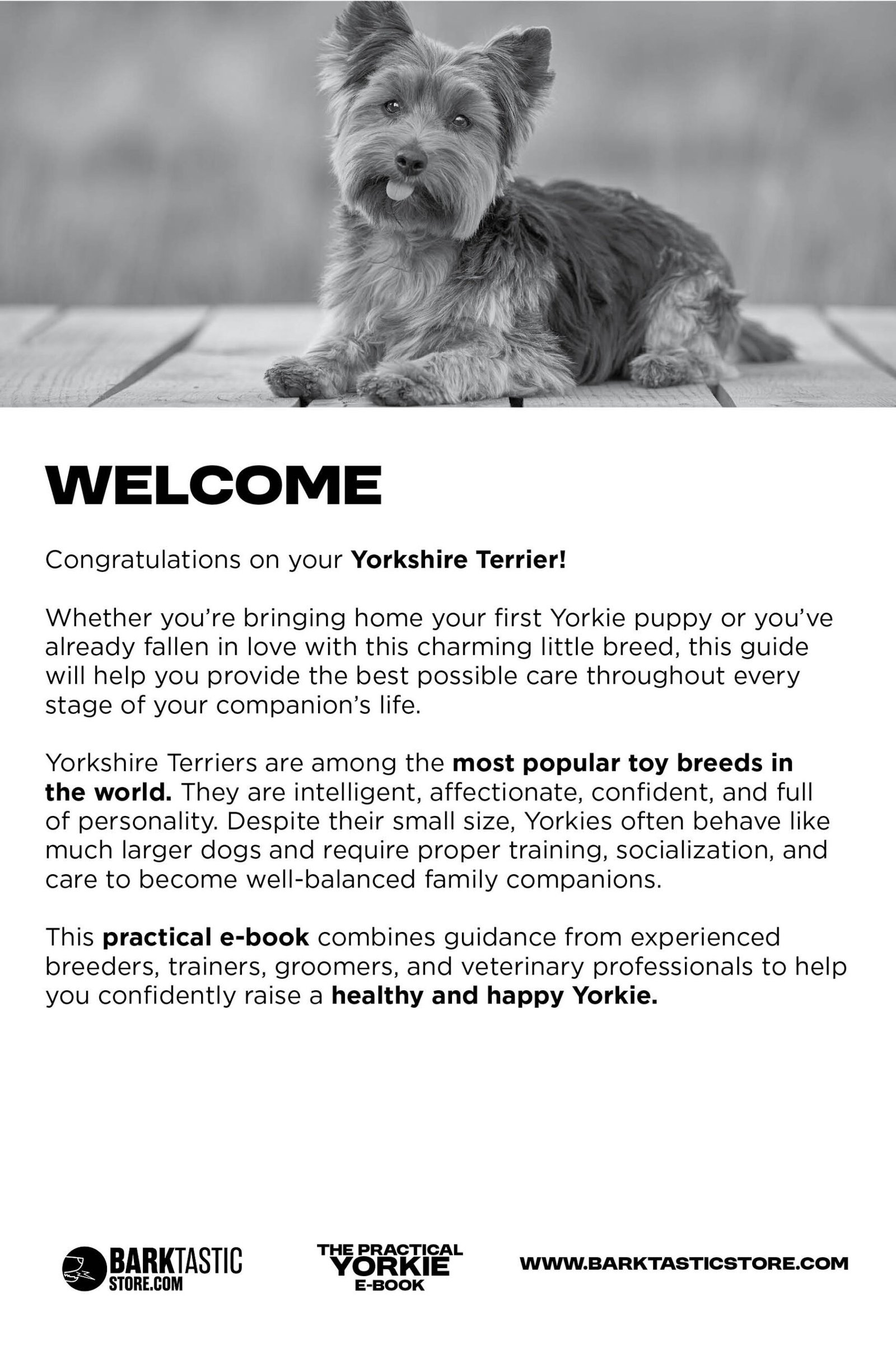 The Practical Yorkie E-Book - Image 3